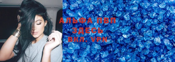 сатива Арсеньев