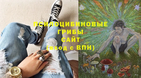 сатива Арсеньев