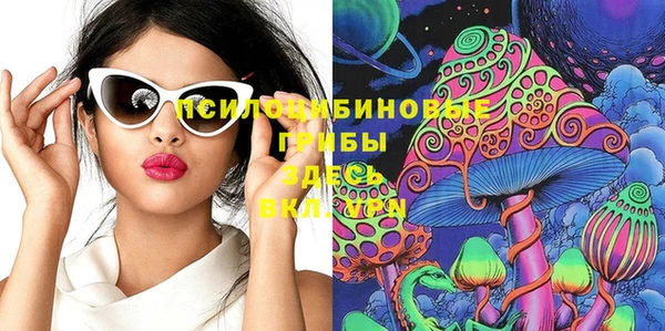 сатива Арсеньев