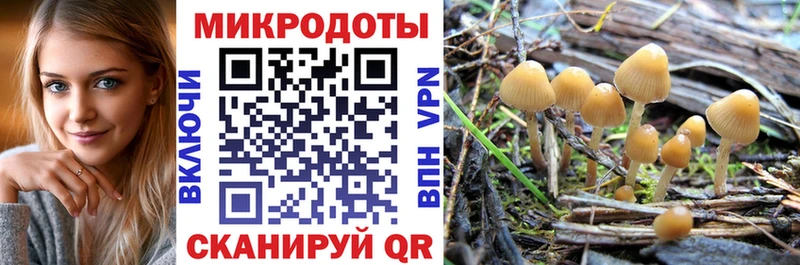 Псилоцибиновые грибы Magic Shrooms  гидра ONION  Ковылкино 